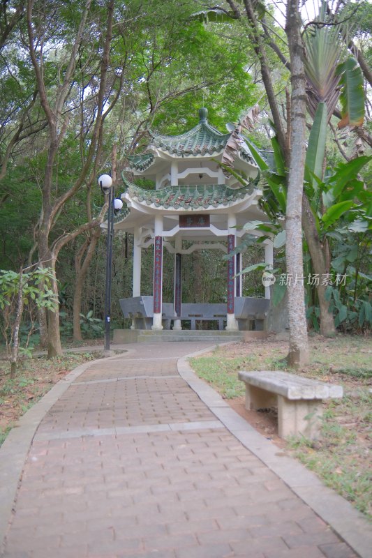 深圳莲花山公园