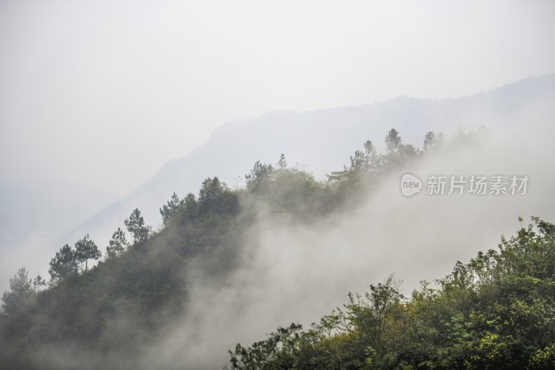 重庆酉阳：暮秋绵雨晨雾浓