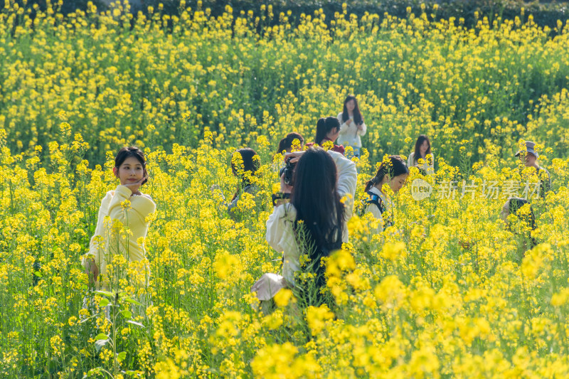 福州花海公园女孩在油菜花田拍照场景