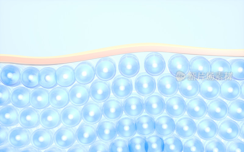 生物皮肤细胞 3D渲染