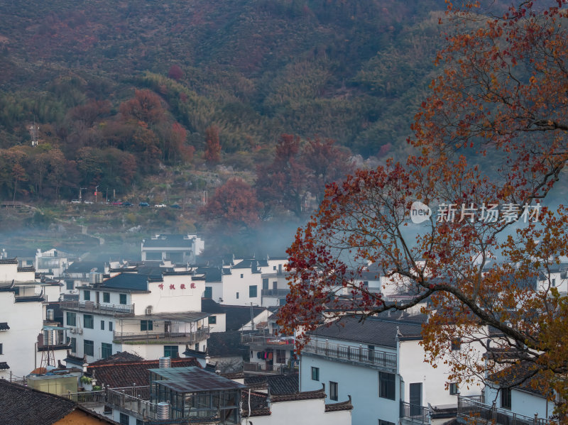 江西上饶婺源石城红枫网红景点日出晨雾航拍