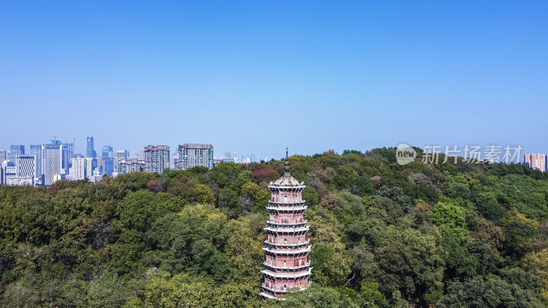 武汉武昌区宝通禅寺洪山宝塔航拍