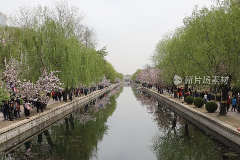 风景系列