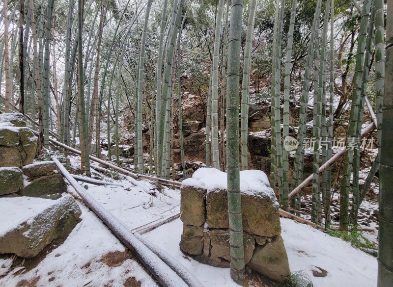 莫干山雪景