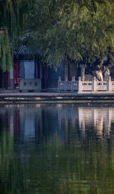 山东济南大明湖风景区自然景观与城市风光