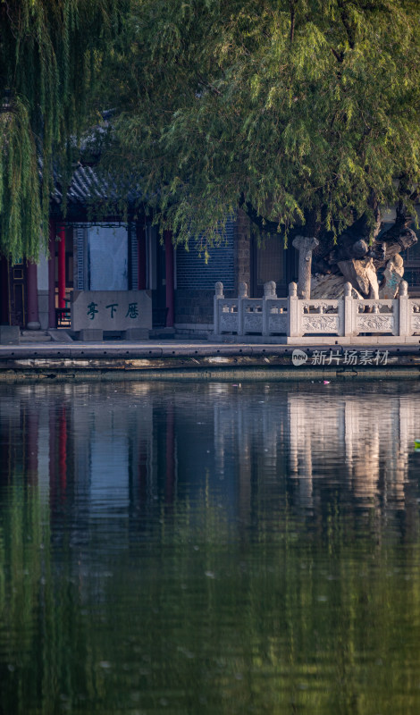 山东济南大明湖风景区自然景观与城市风光