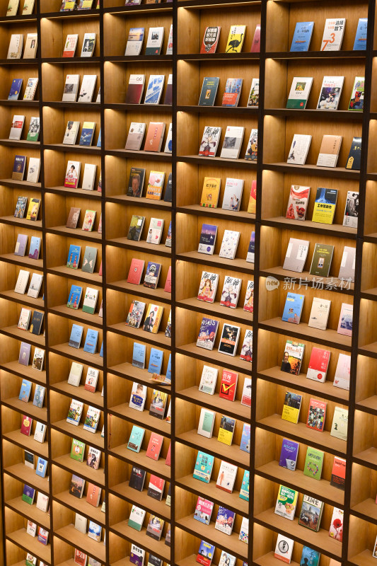 满是书籍的书架场景