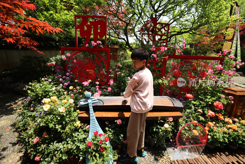 杭州西湖郭庄迎亚运月季花展赏花的男孩