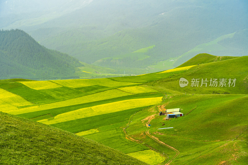 青海祁连县卓尔山景区，夏季起伏的高山牧场