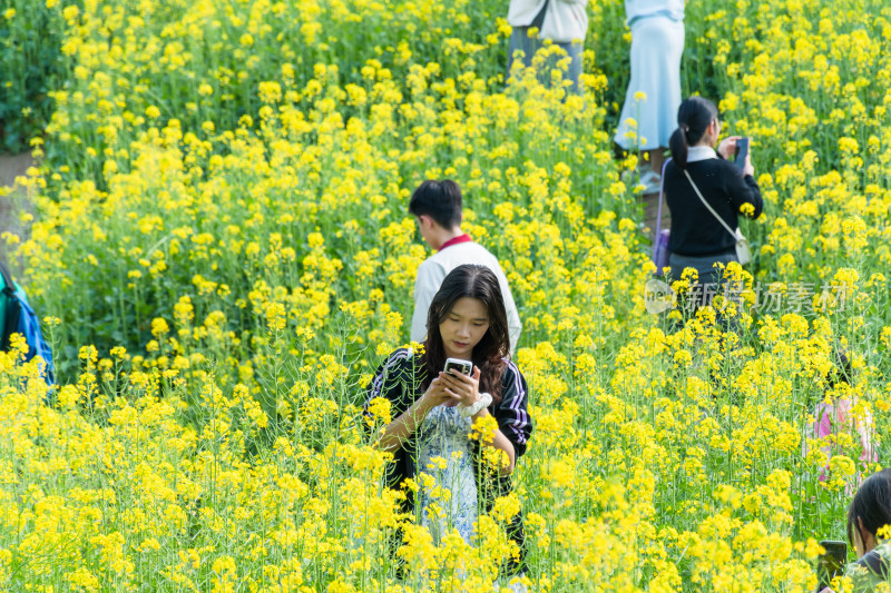 福州花海公园市民在油菜花田里拍照