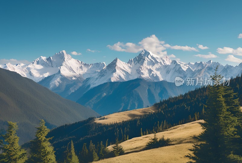 雪山高原草原森林风景