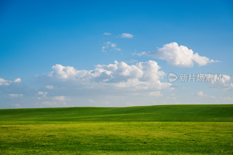 蓝天白云大草原
