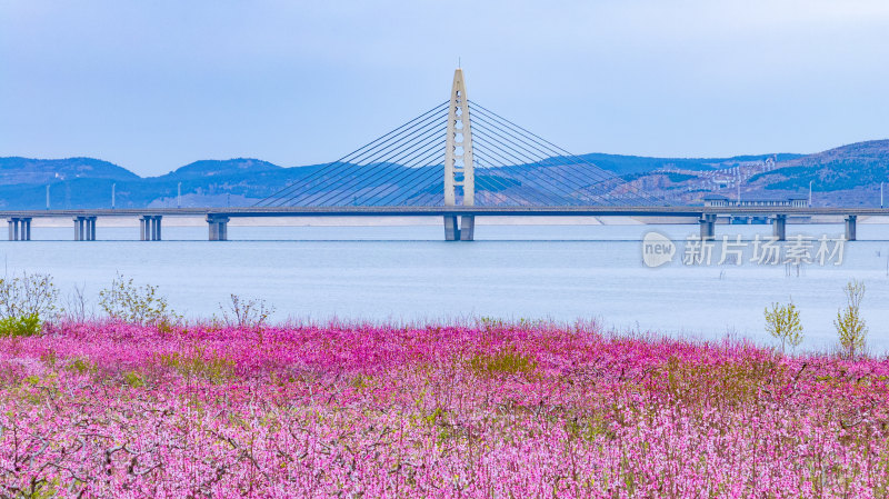 庄里水库十里桃花