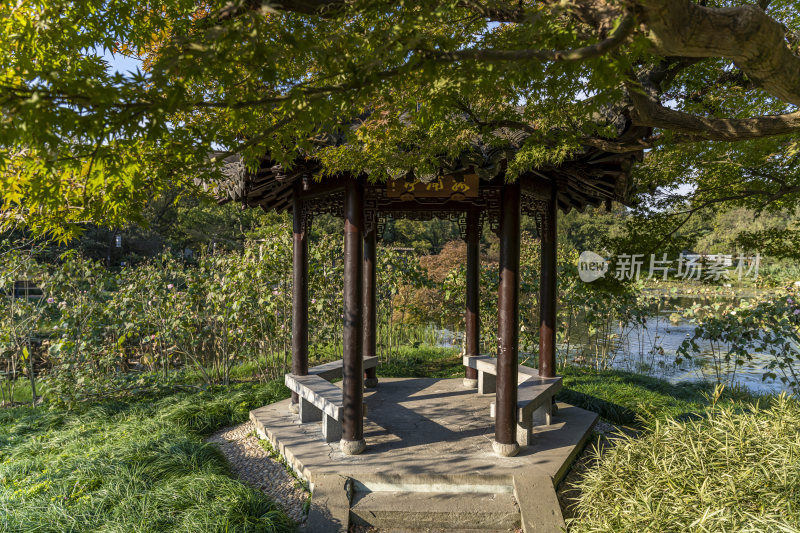 杭州西子湖畔杭州花圃风景