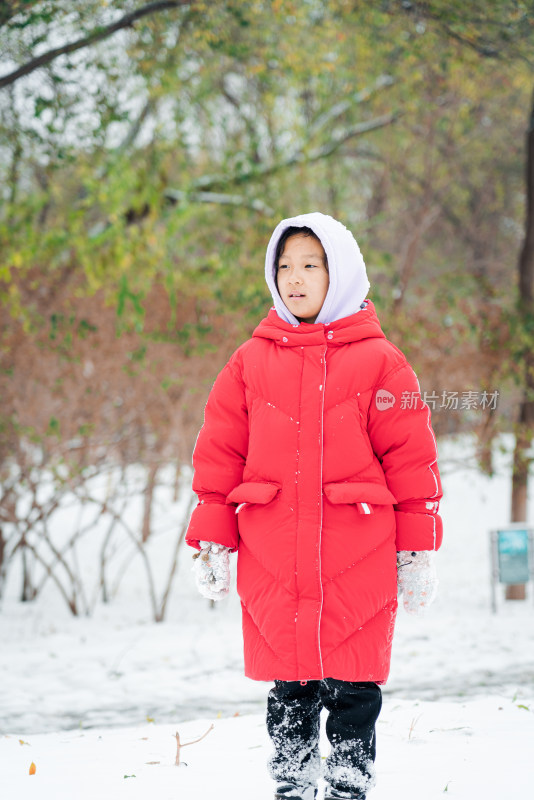 冬天在公园玩雪的中国女孩形象
