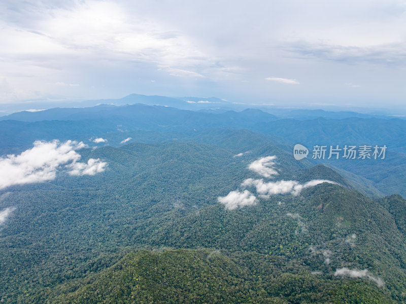 海南乐东县尖峰岭国家森林公园热带雨林