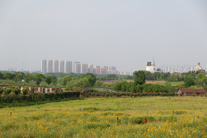 城市边缘田野与高楼景观