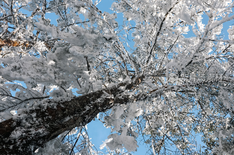 大山披雪装，冰雪盛景韵悠长