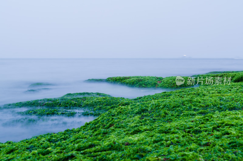 绿藻布满岩石的海岸