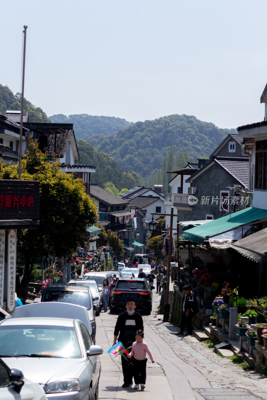 杭州杨梅岭绿意盎然的梯田式茶园