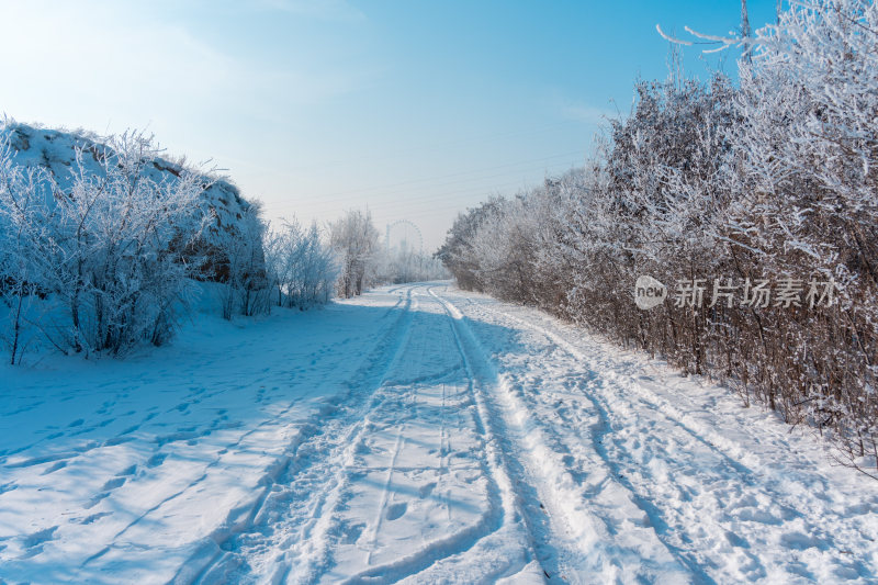 冬天雪后雾凇