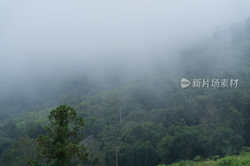 云雾缭绕的山间秘境