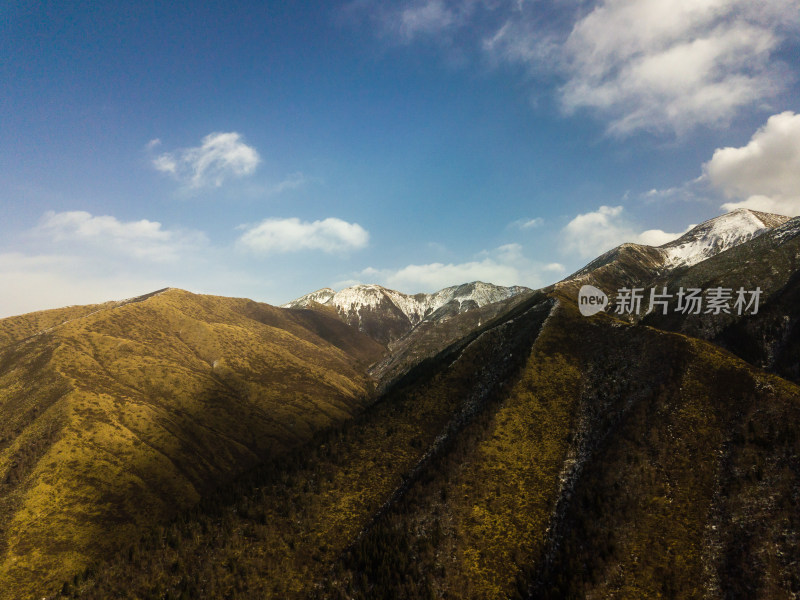 航拍冬季的森林滑雪场