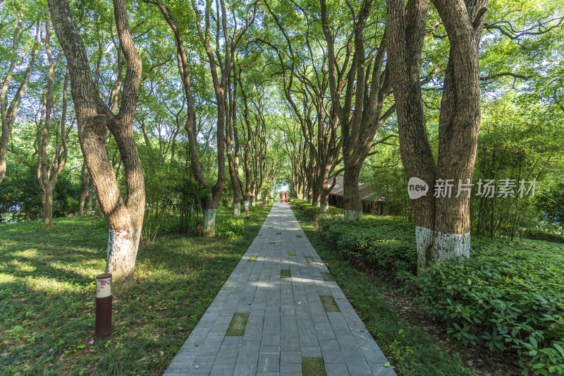 武汉东湖湖北书画院风景