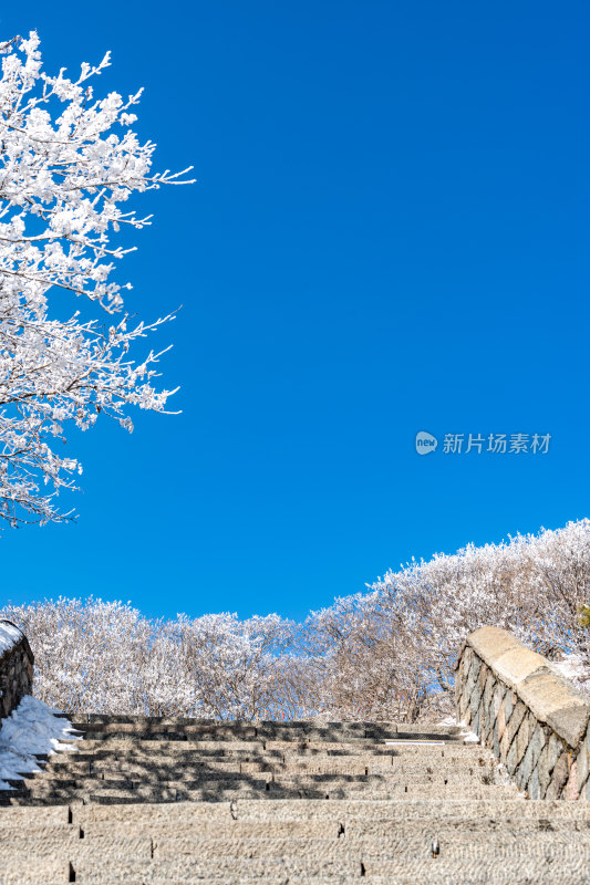 春雪后的泰安泰山风景区自然风光景点景观