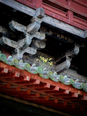 中式古建筑屋檐细节