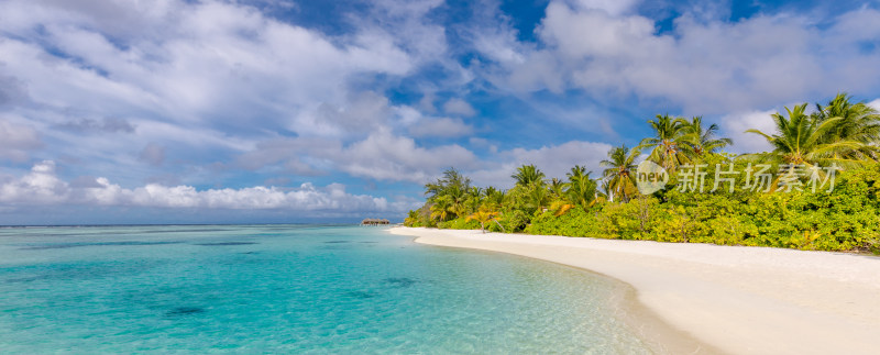 白色沙滩椰子树的热带天堂海滩