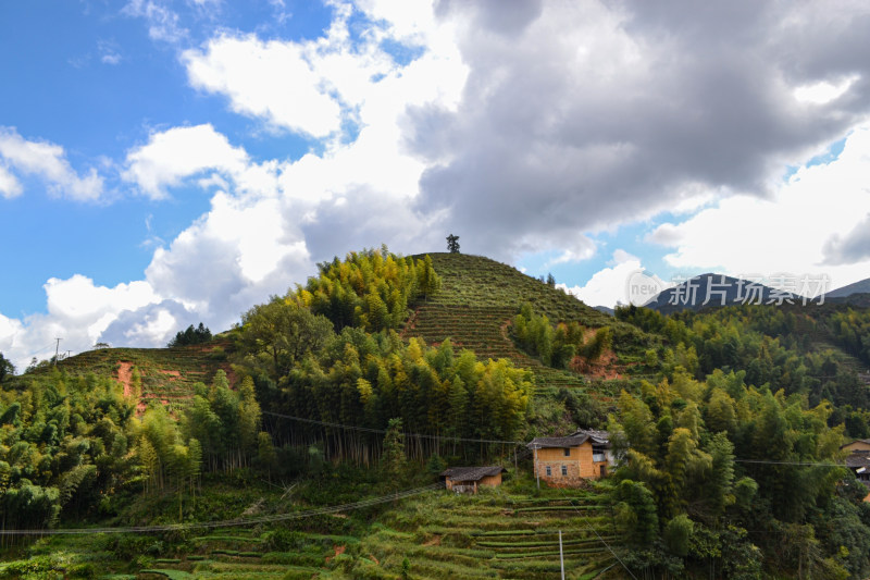 乡村俯瞰图，青山绿树环绕下的村落景象