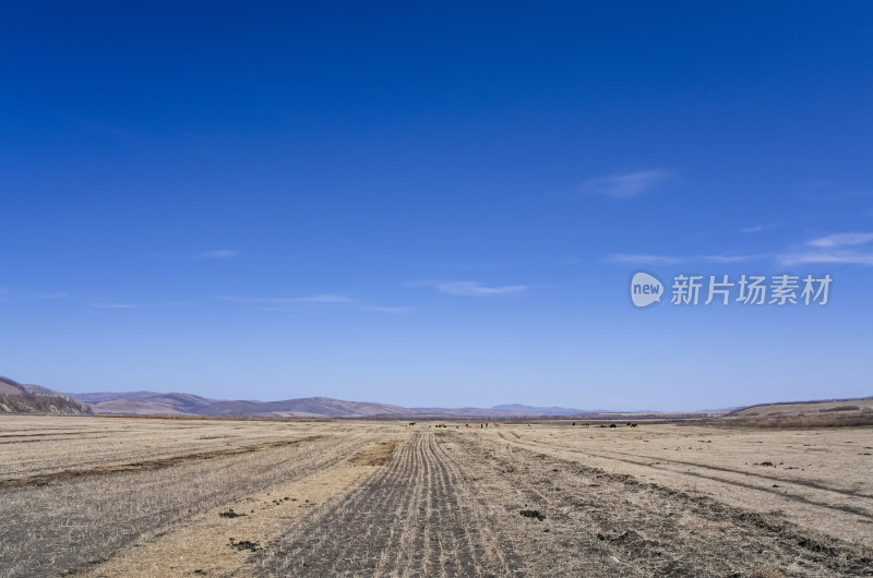 内蒙古呼伦贝尔临江屯草原牧场秋景