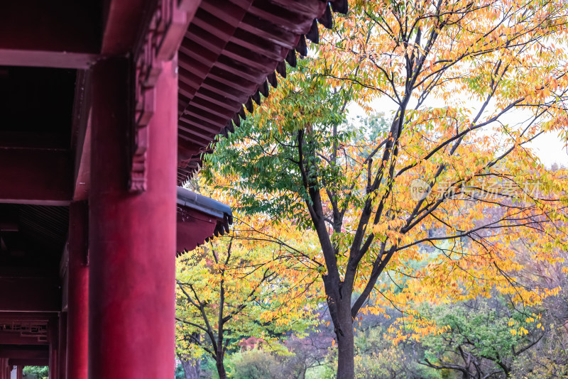 南京钟山风景名胜区明孝陵中的建筑风景