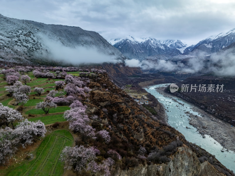 西藏林芝桃花节南迦巴瓦峰多雄拉云雾航拍