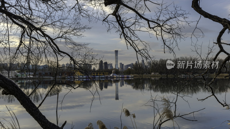 北京湖畔城市景观，树枝前景倒影相映成趣