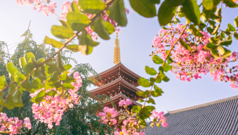 日本东京浅草寺五重塔建筑风光