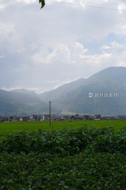 田野乡村与远山风景