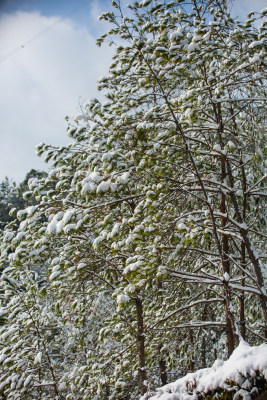 雪后的大山