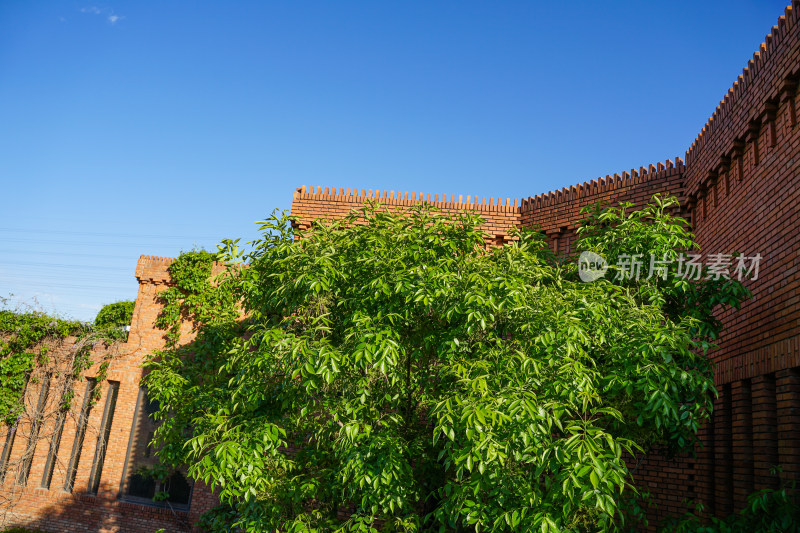 红砖美术馆建筑天空大树