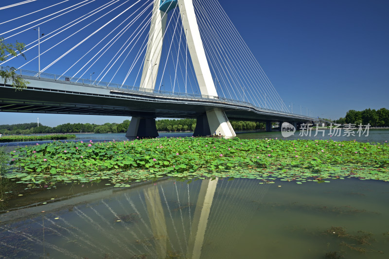 河北省石家庄市太平河