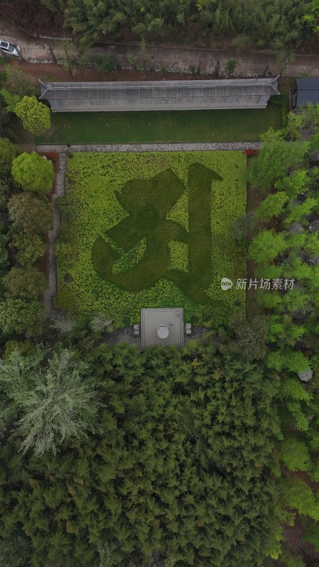 空中俯瞰绿植构成的文字景观