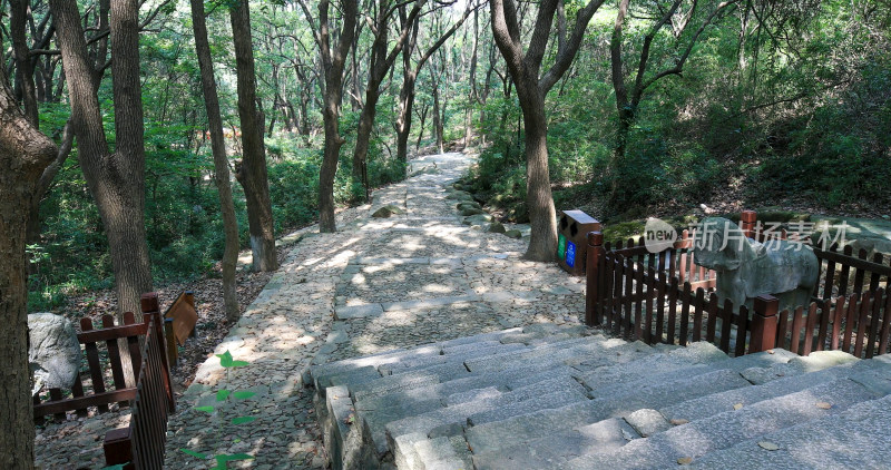 石阶 古道 山林