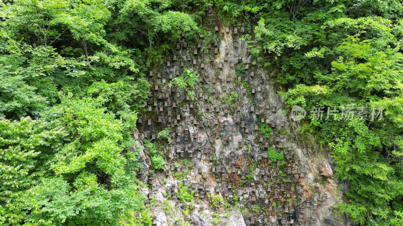 航拍湖北神农架官门山景区悬崖蜂箱