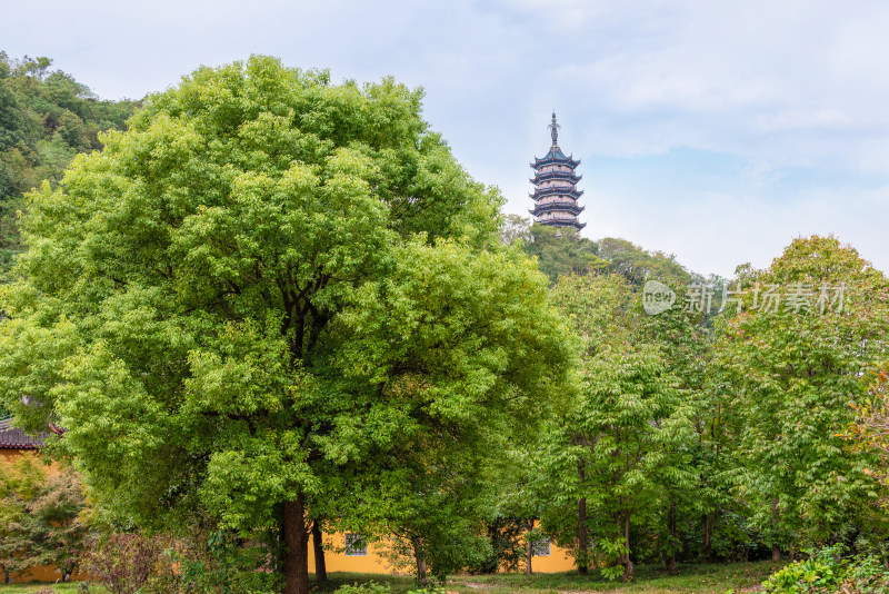 晴朗的午后，镇江焦山风景区万佛塔建筑